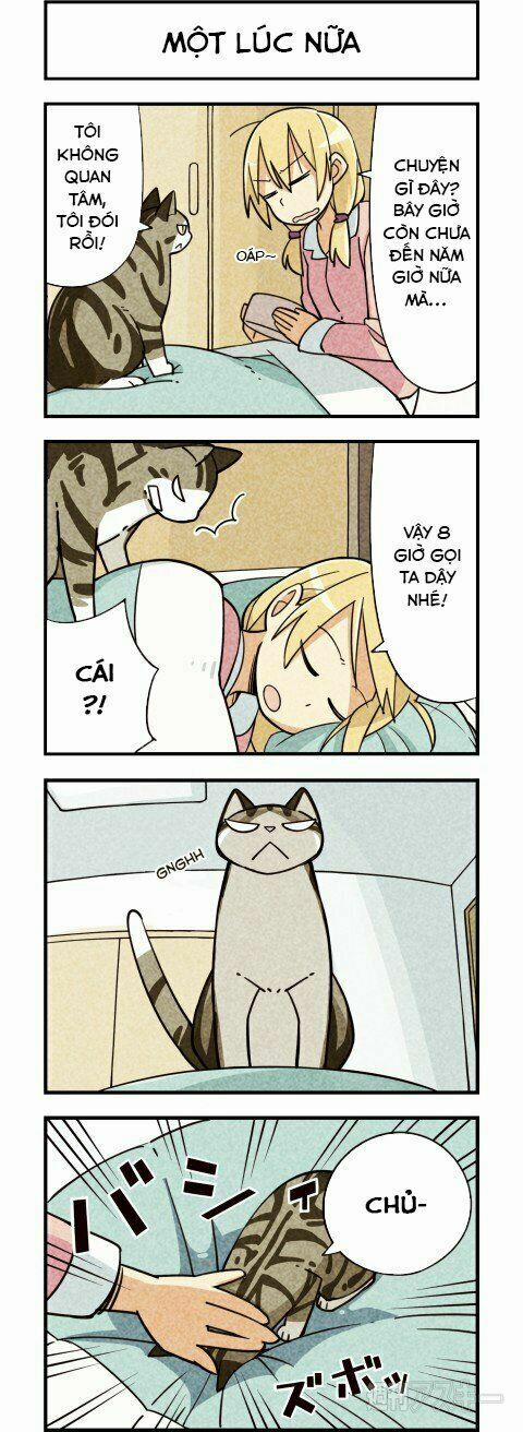 Chúng Tôi Là Mèo 7 trang 2