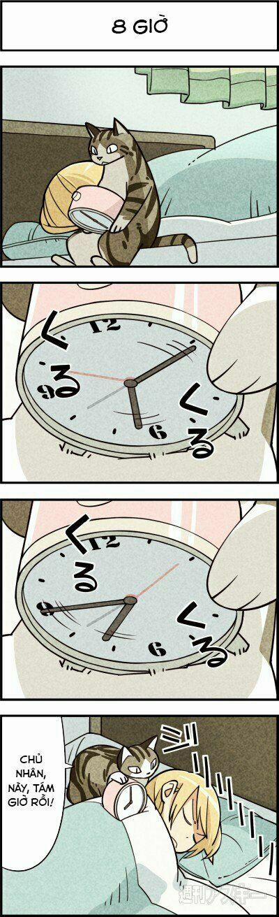 Chúng Tôi Là Mèo 7 trang 3