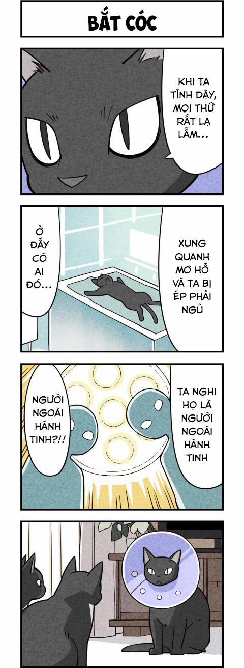 Chúng Tôi Là Mèo 9 trang 5