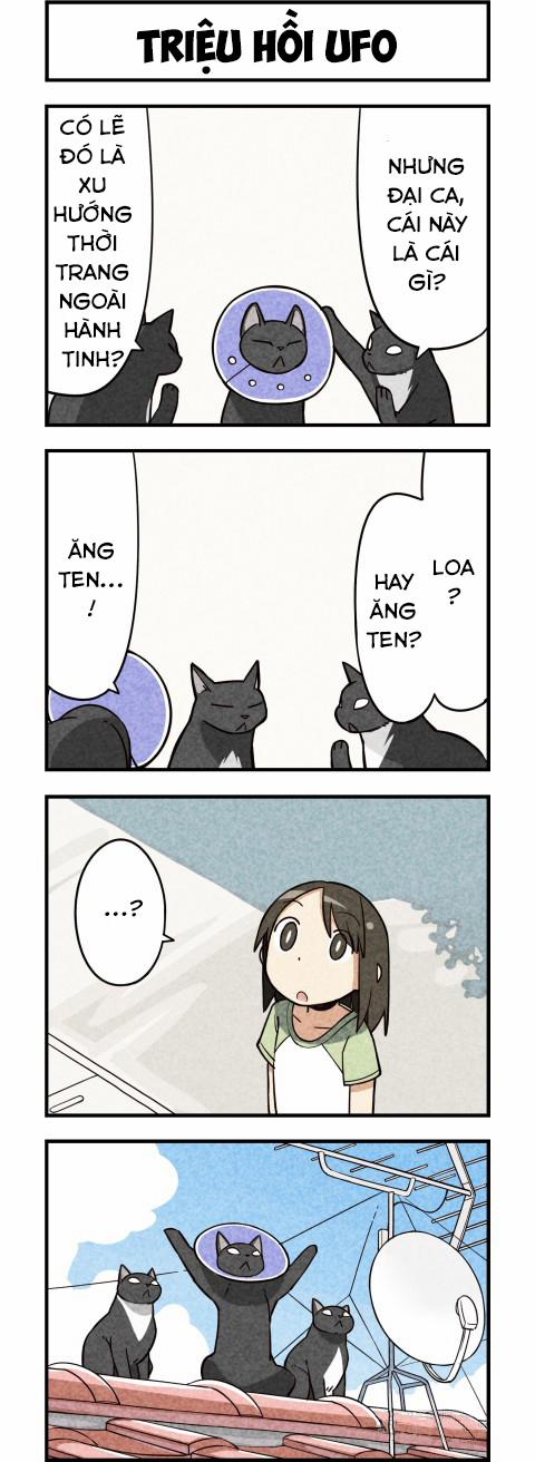 Chúng Tôi Là Mèo 9 trang 6