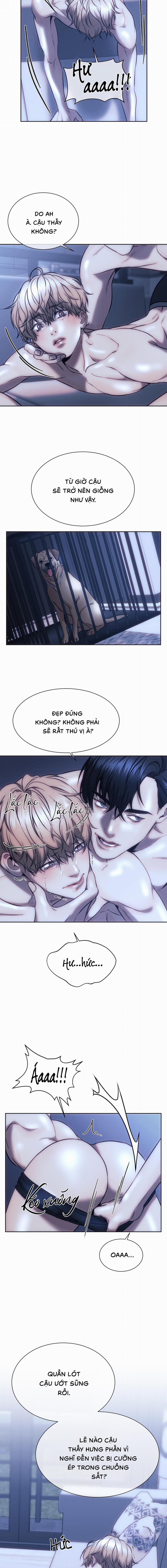 Chuồng chó Tosa 2 trang 5