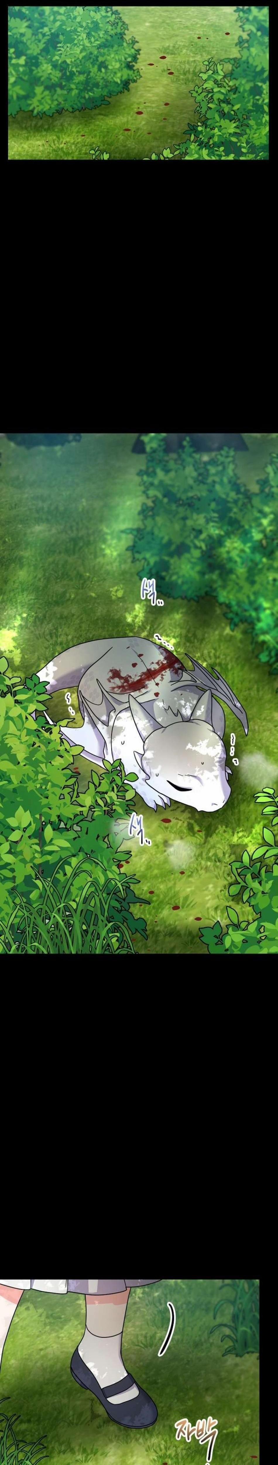 Chuyện Xảy Ra Khi Cứu Một Bé Rồng Con 4 trang 1