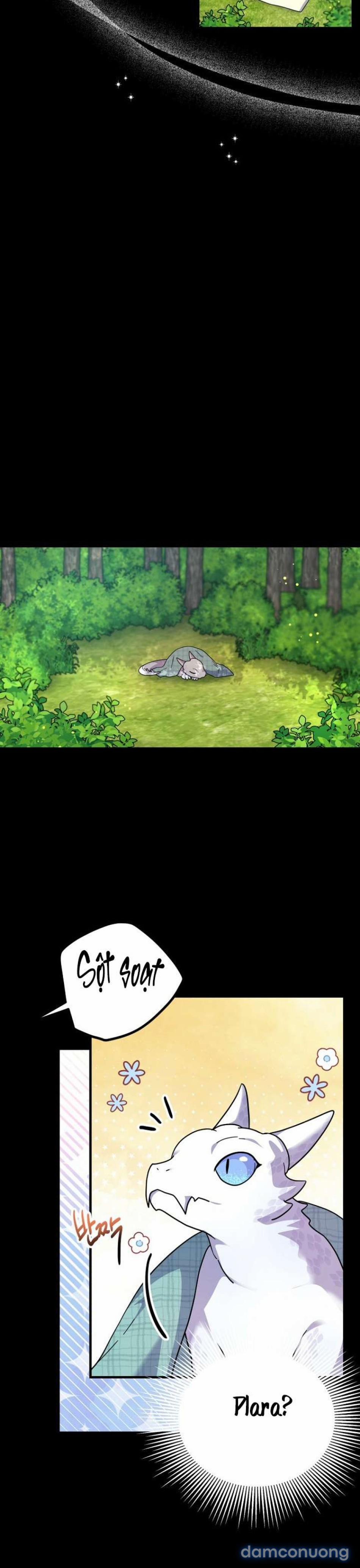 Chuyện Xảy Ra Khi Cứu Một Bé Rồng Con 4 trang 10