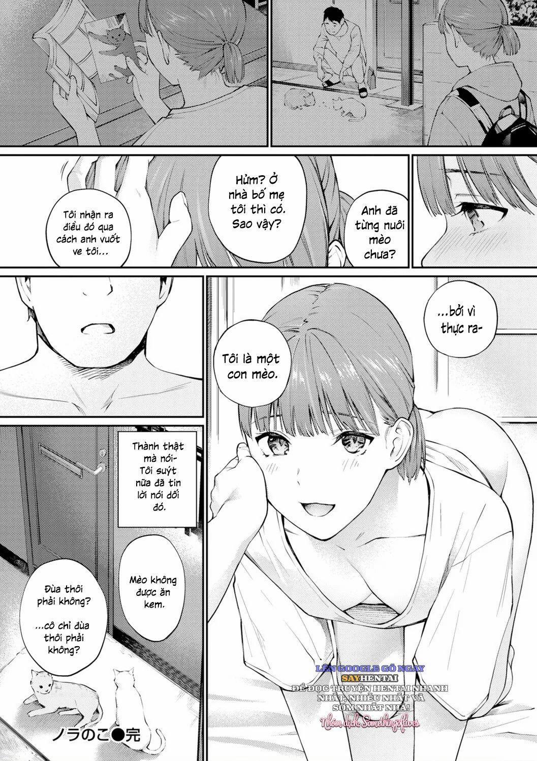 Cô gái lạc lối 1 trang 15