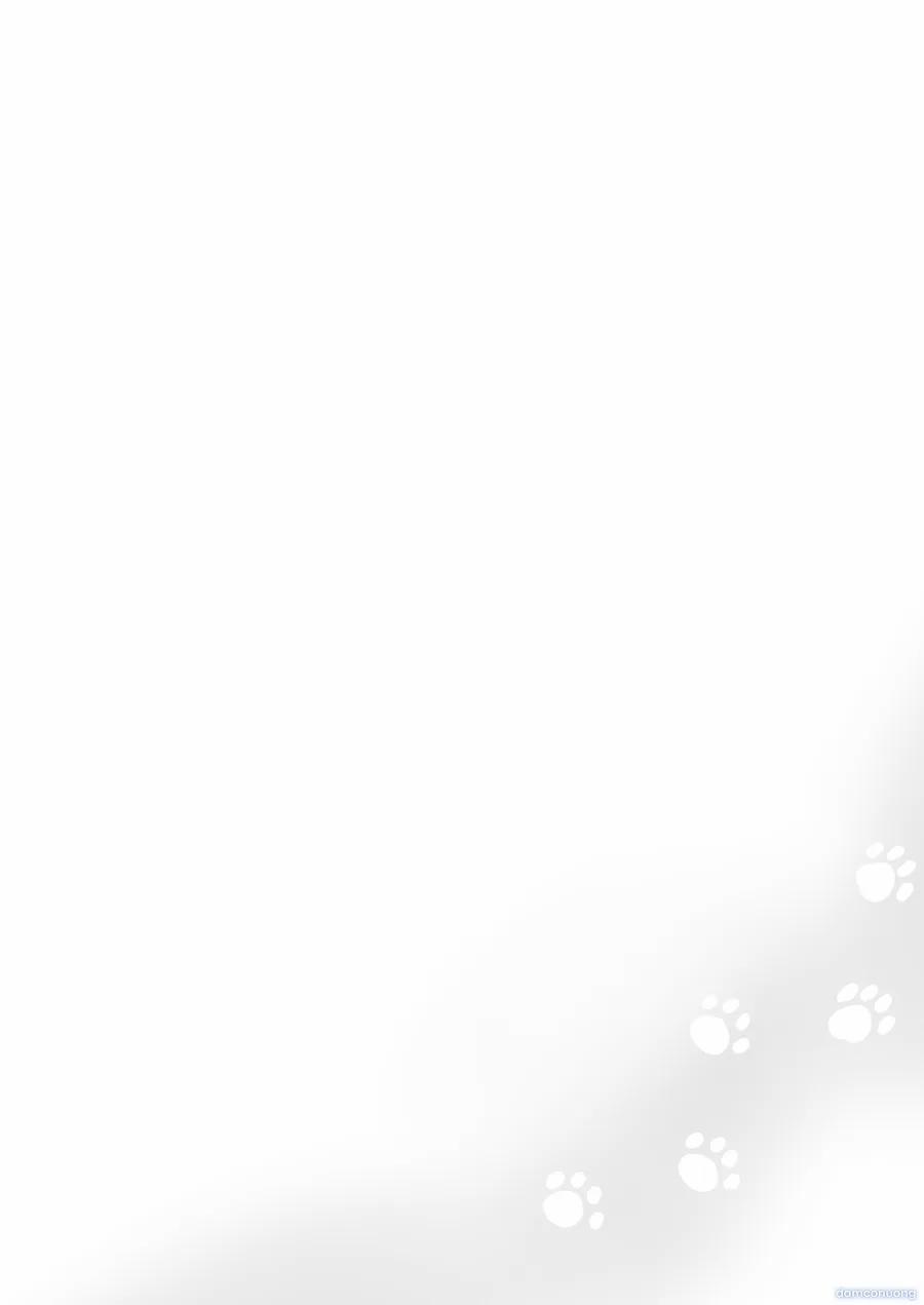 Cỏ Mèo Mộng Mơ 1 trang 2
