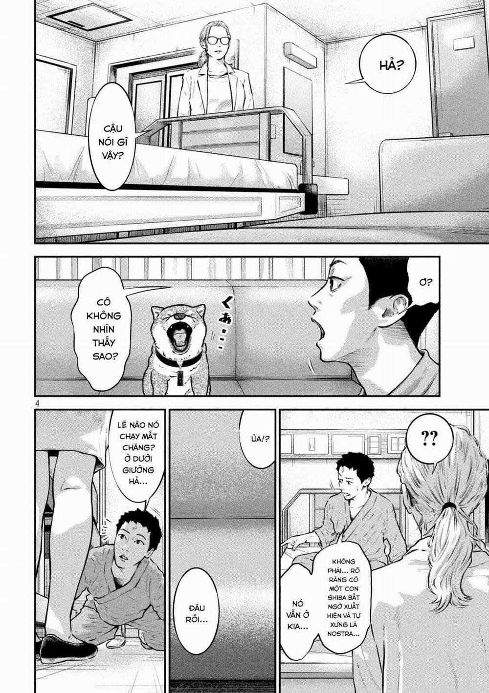 Code: Nostra 15 trang 4