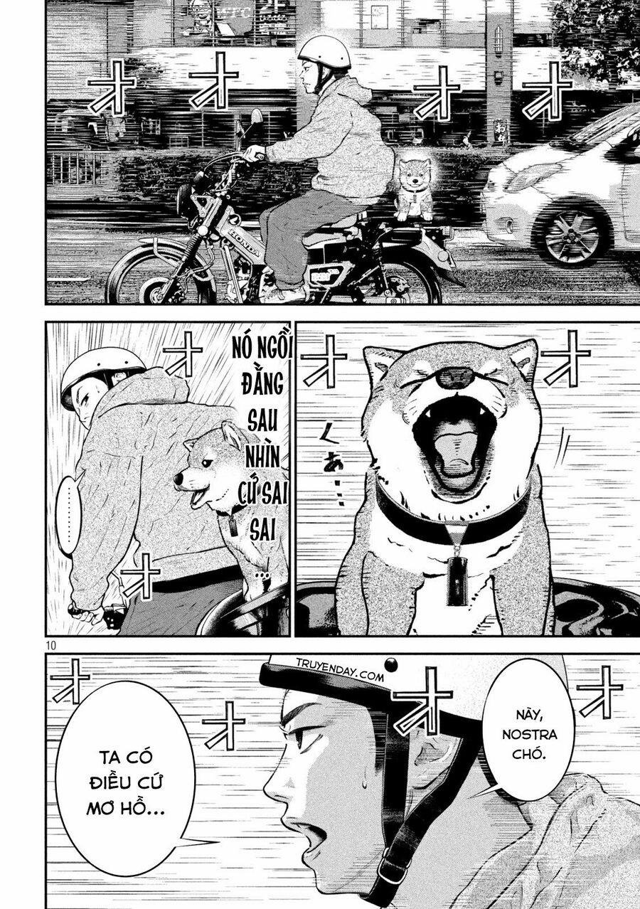 Code: Nostra 16 trang 9