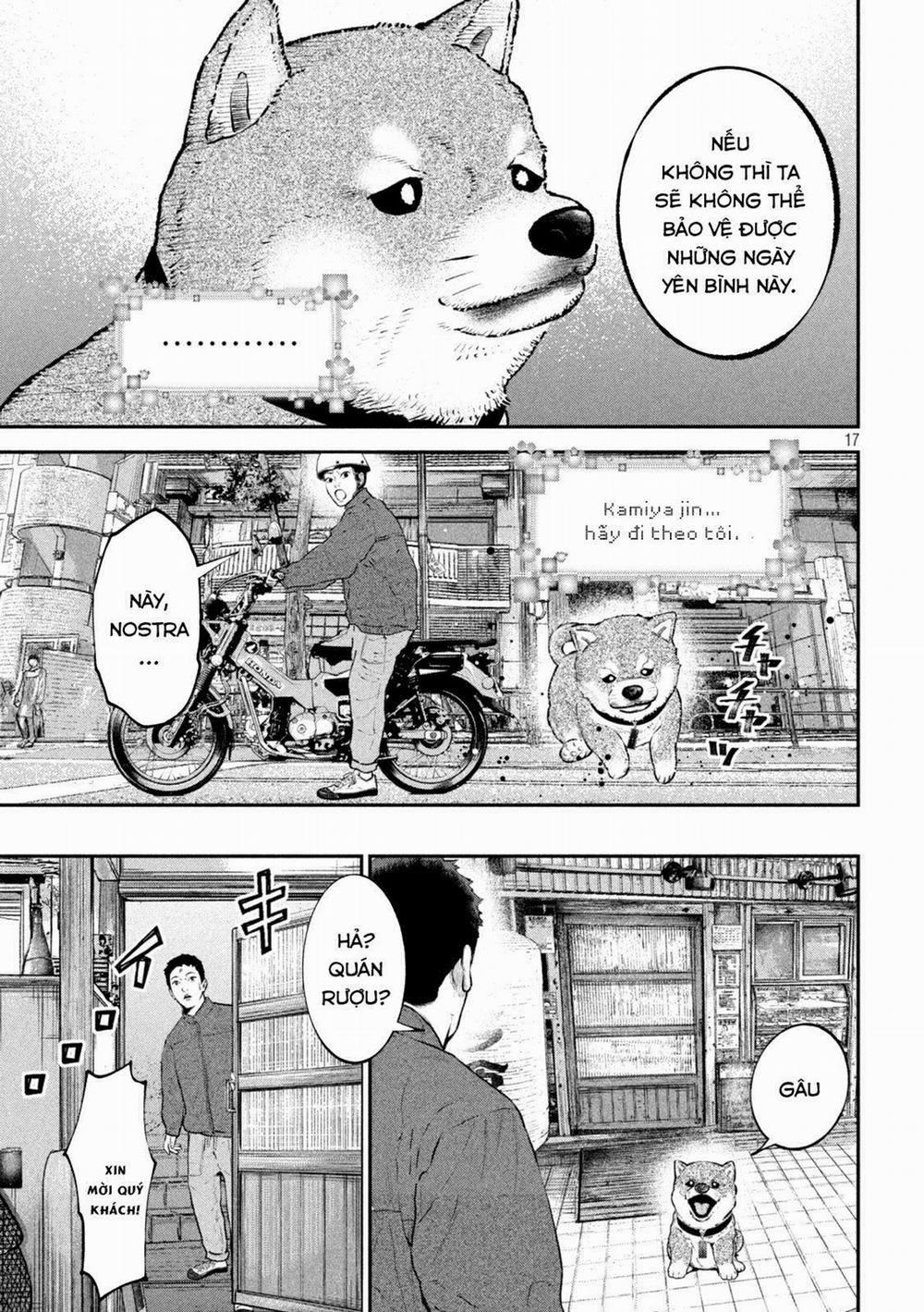 Code: Nostra 18 trang 15