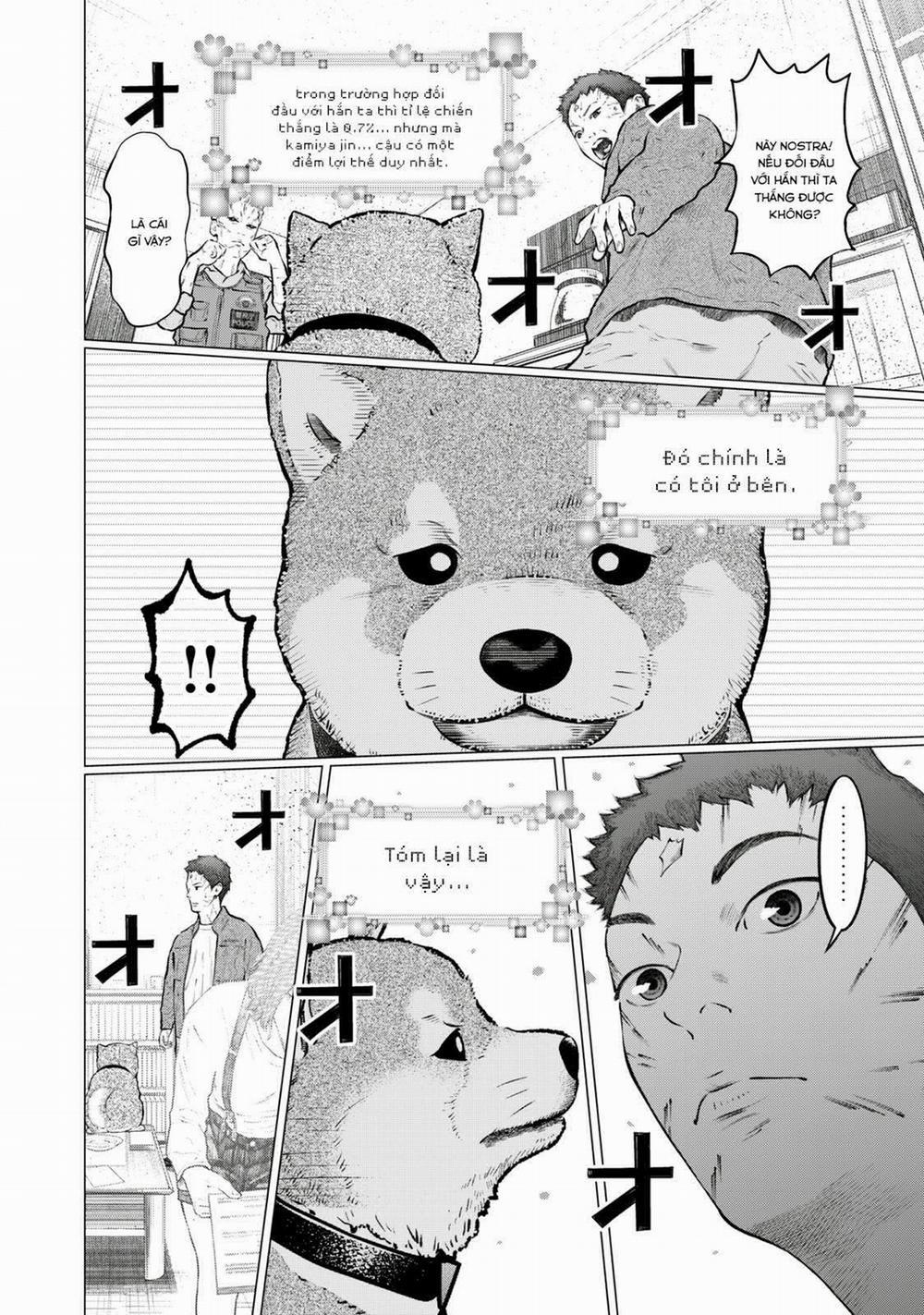 Code: Nostra 21 trang 9