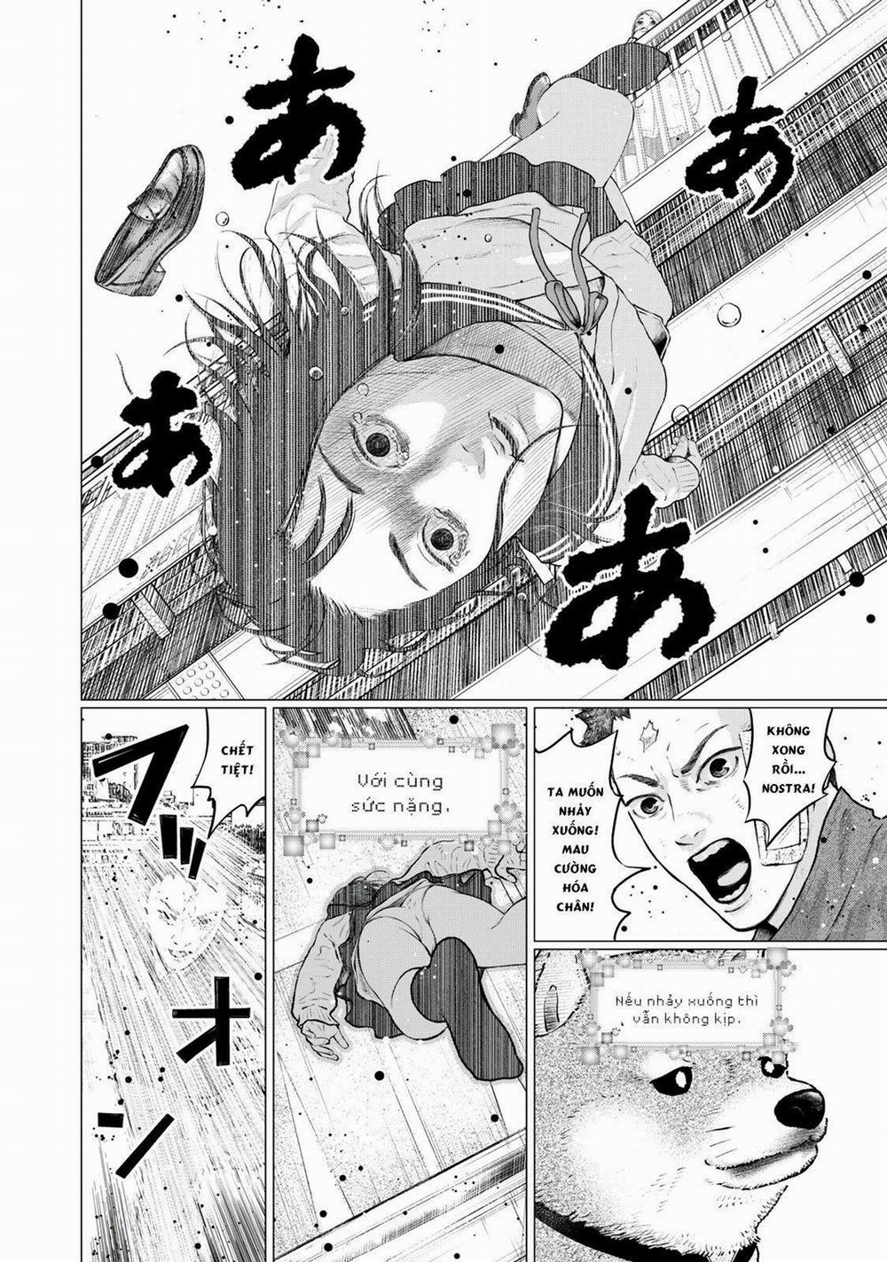 Code: Nostra 24 trang 1