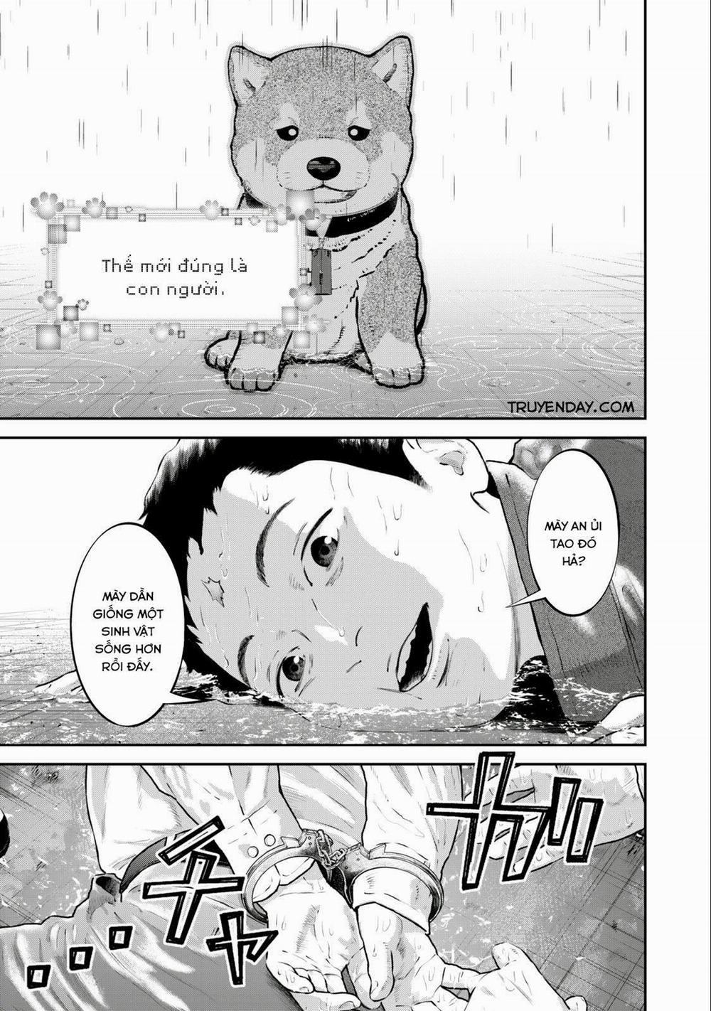 Code: Nostra 26 trang 14