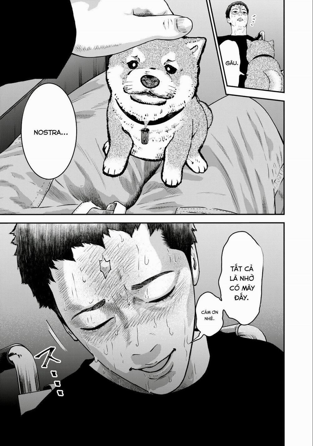 Code: Nostra 28 trang 8