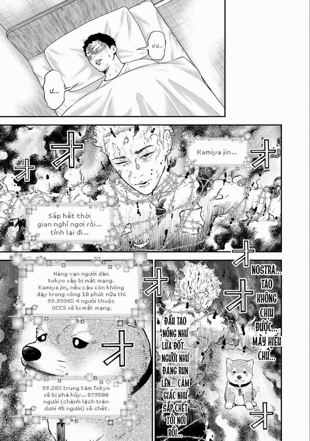 Code: Nostra 29 trang 15