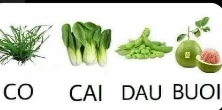 Code: Nostra 3 trang 2