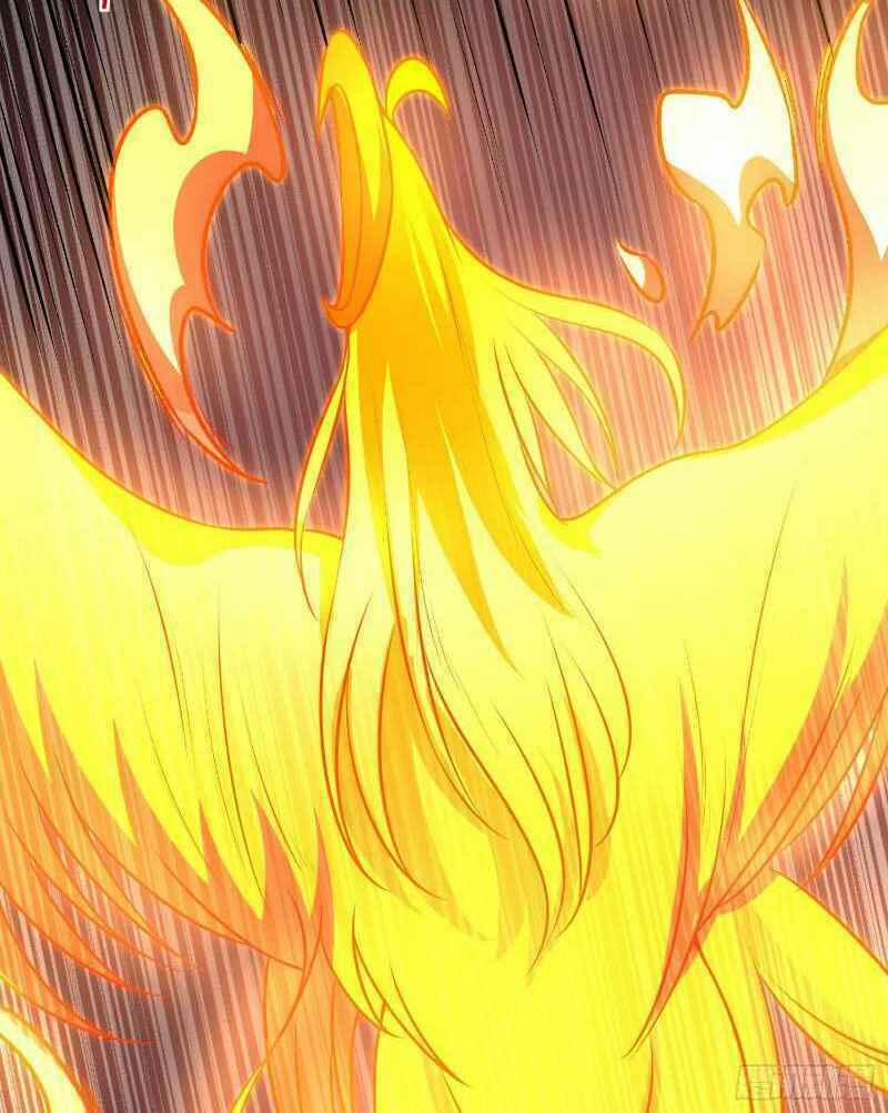 Con Của Ta Là Đại Lão 18 trang 15