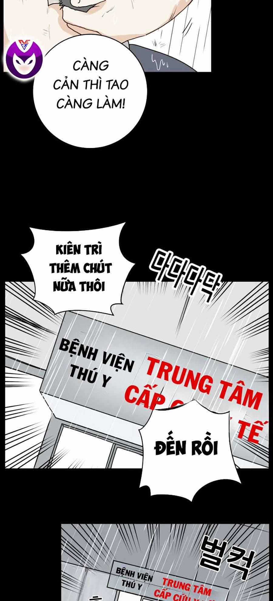 Con Mèo Đô Vật Của Tôi 1 trang 17