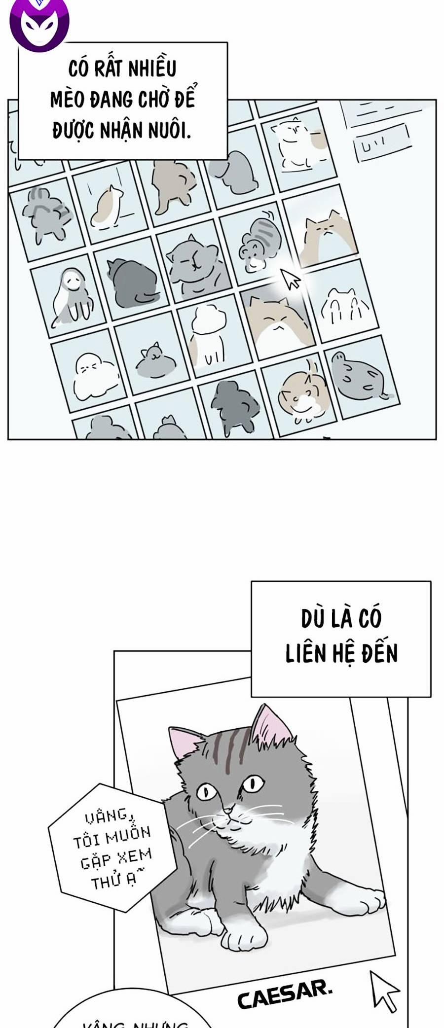 Con Mèo Đô Vật Của Tôi 1 trang 34