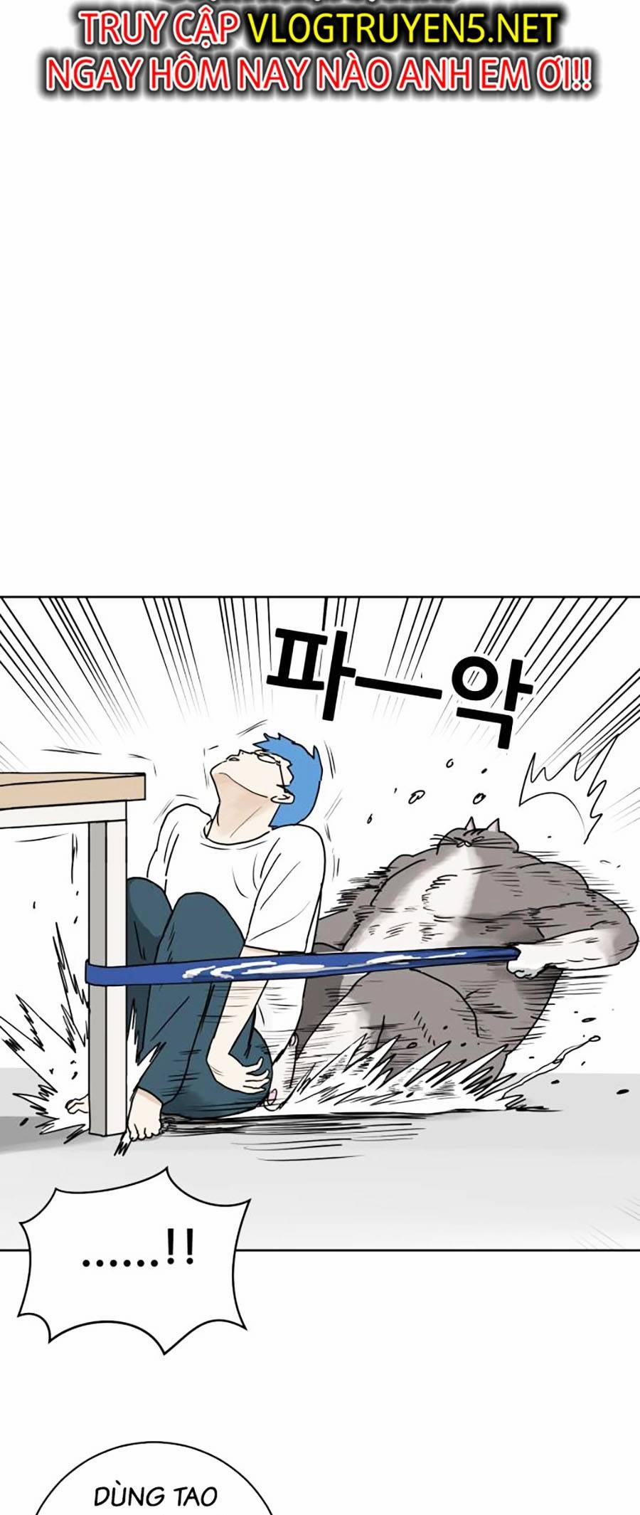 Con Mèo Đô Vật Của Tôi 2 trang 13