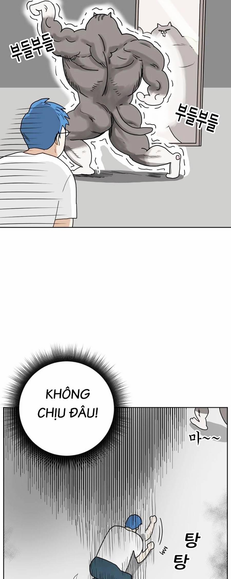 Con Mèo Đô Vật Của Tôi 2 trang 22