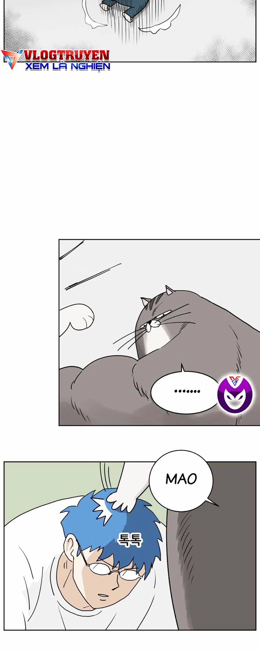 Con Mèo Đô Vật Của Tôi 2 trang 23