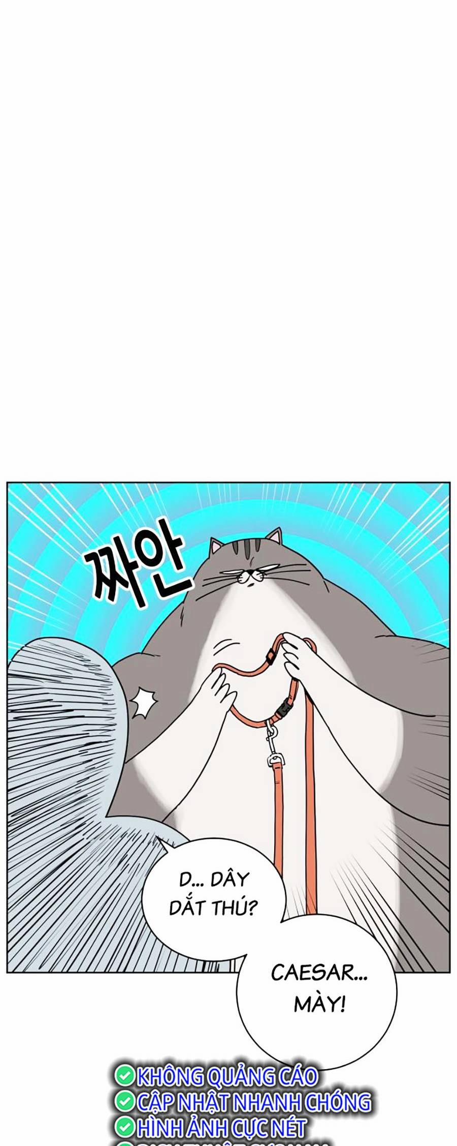Con Mèo Đô Vật Của Tôi 2 trang 24