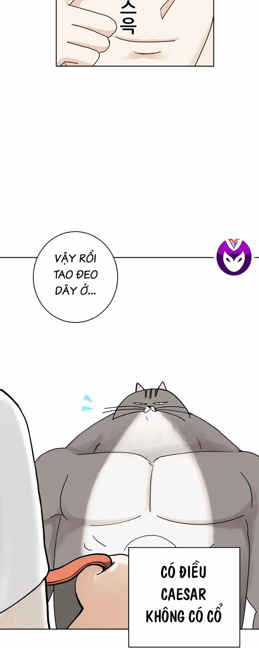 Con Mèo Đô Vật Của Tôi 2 trang 26