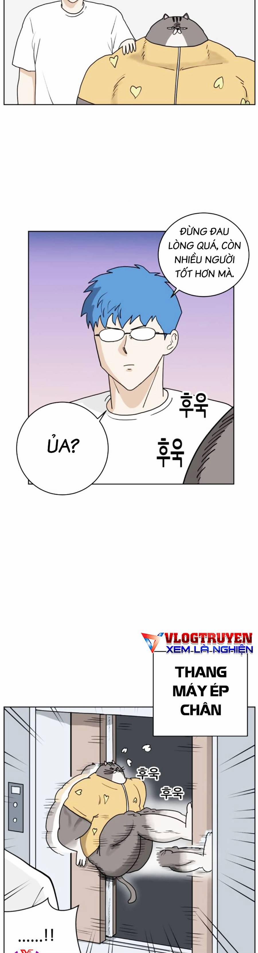 Con Mèo Đô Vật Của Tôi 3 trang 41