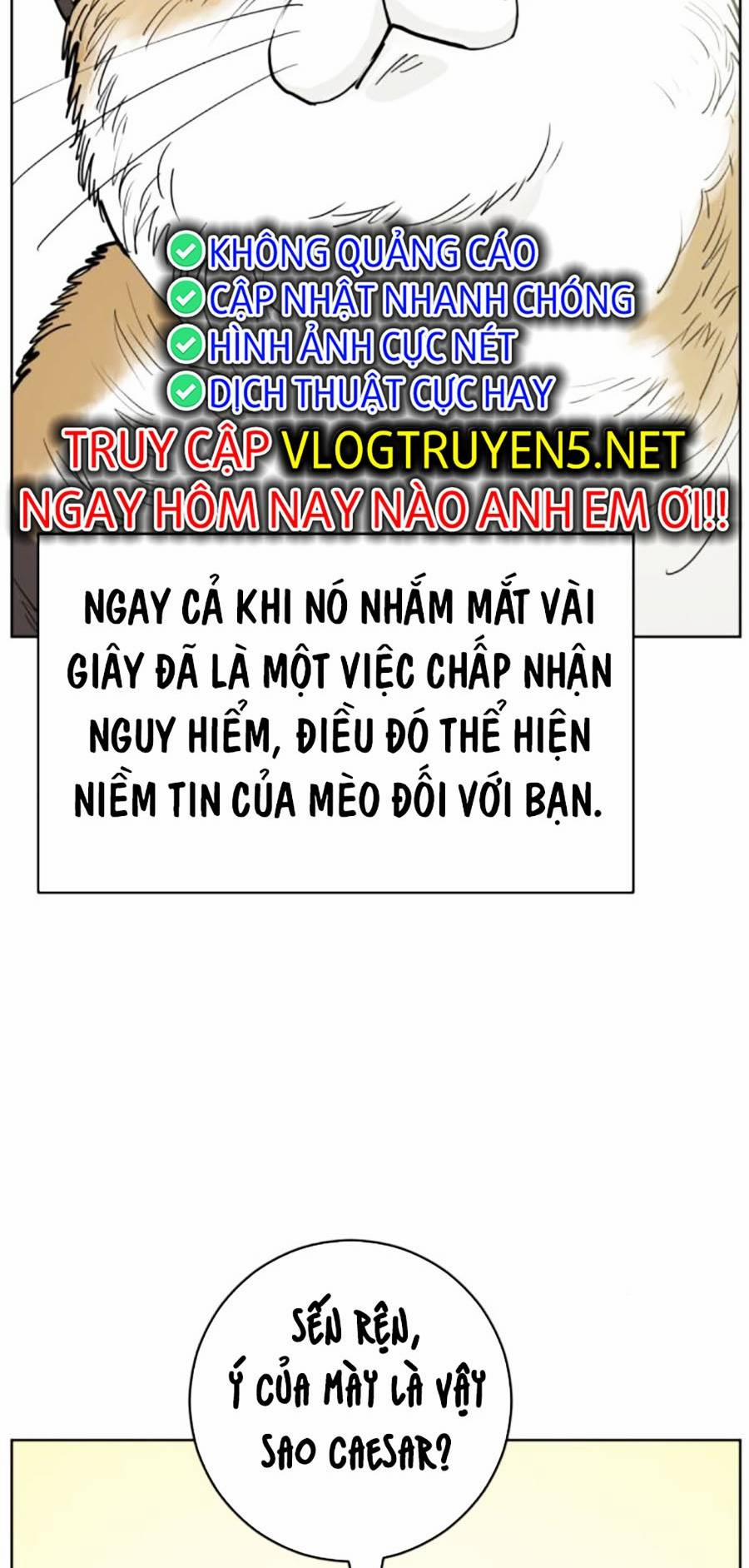 Con Mèo Đô Vật Của Tôi 4 trang 16