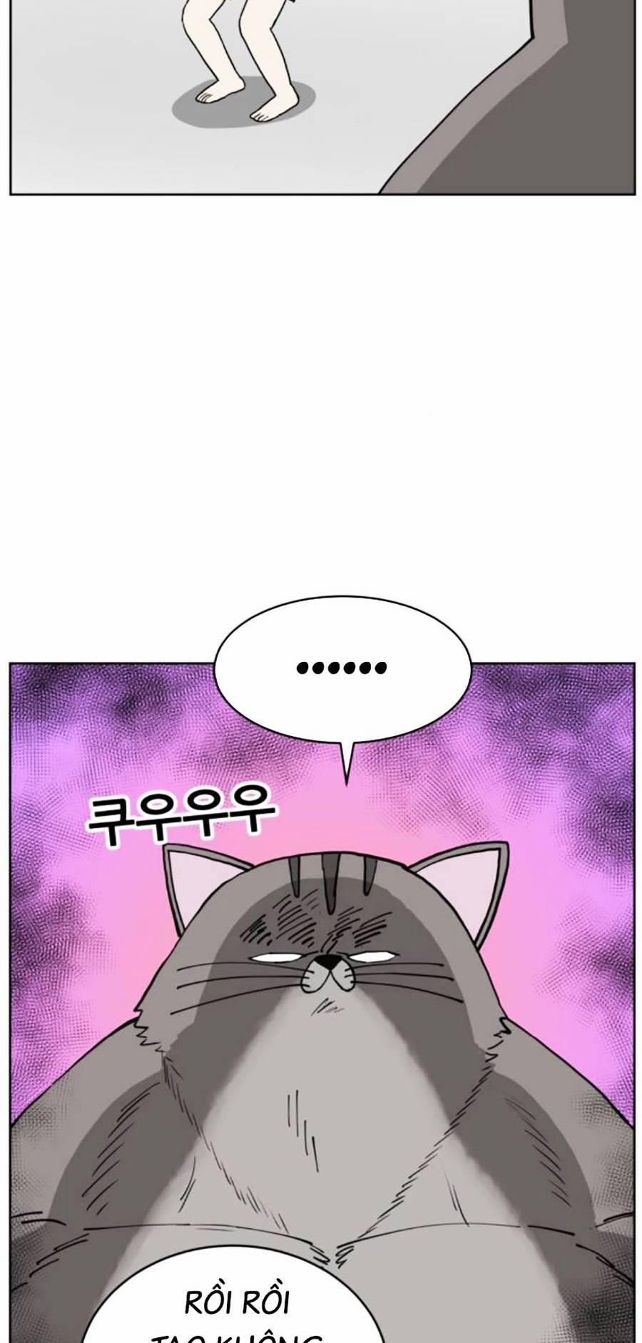 Con Mèo Đô Vật Của Tôi 4 trang 7