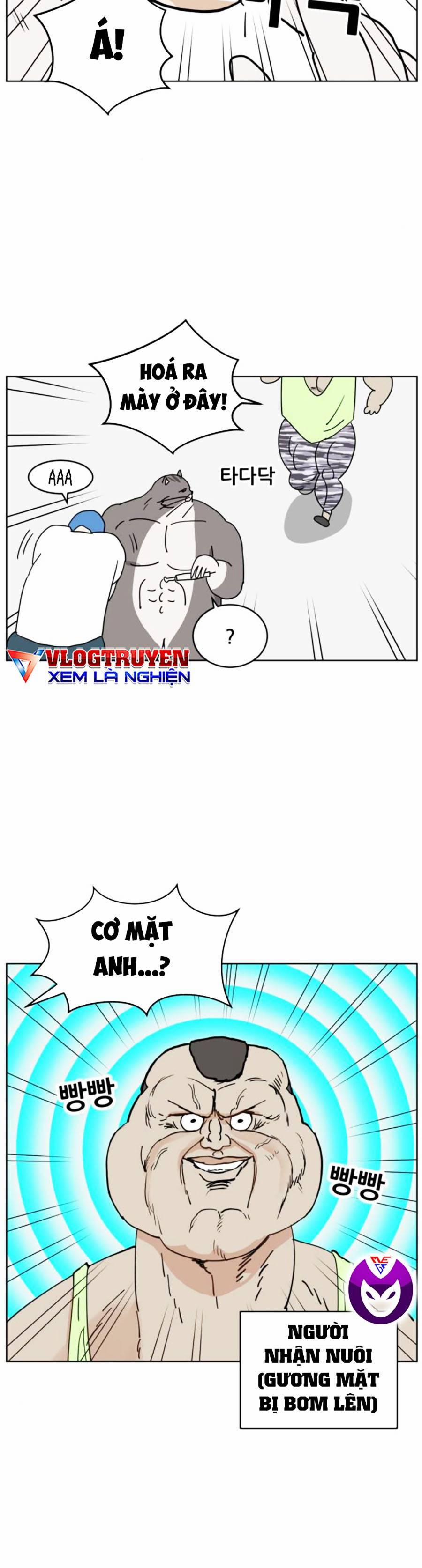 Con Mèo Đô Vật Của Tôi 5 trang 29