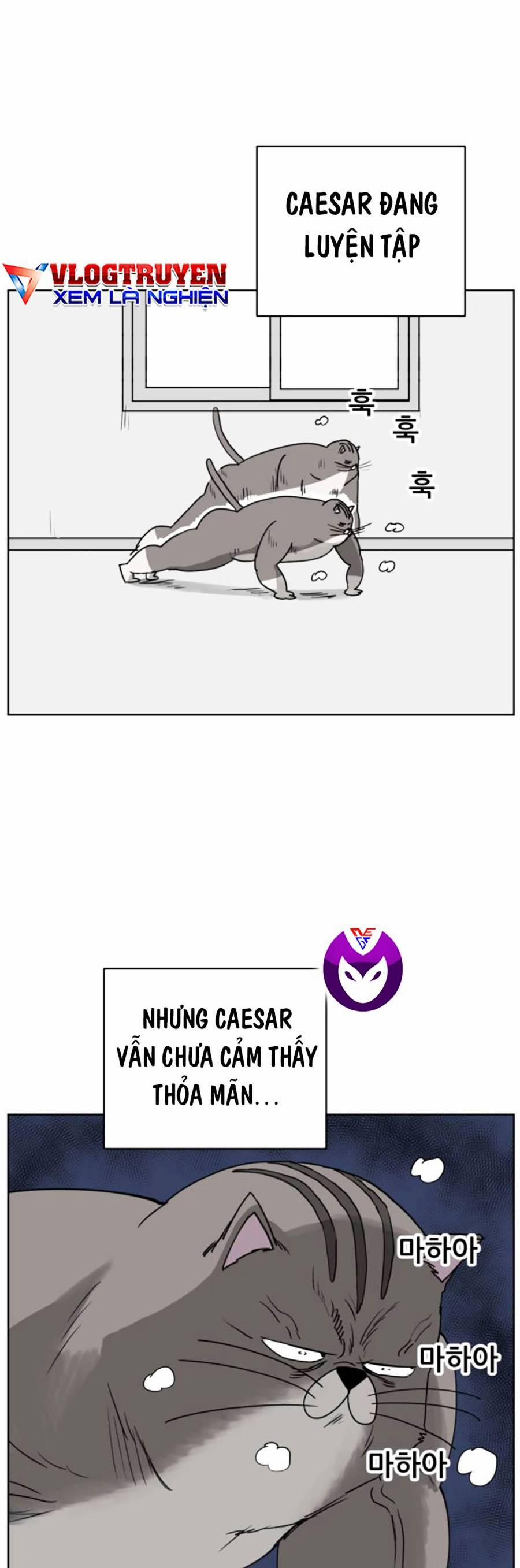 Con Mèo Đô Vật Của Tôi 7 trang 1