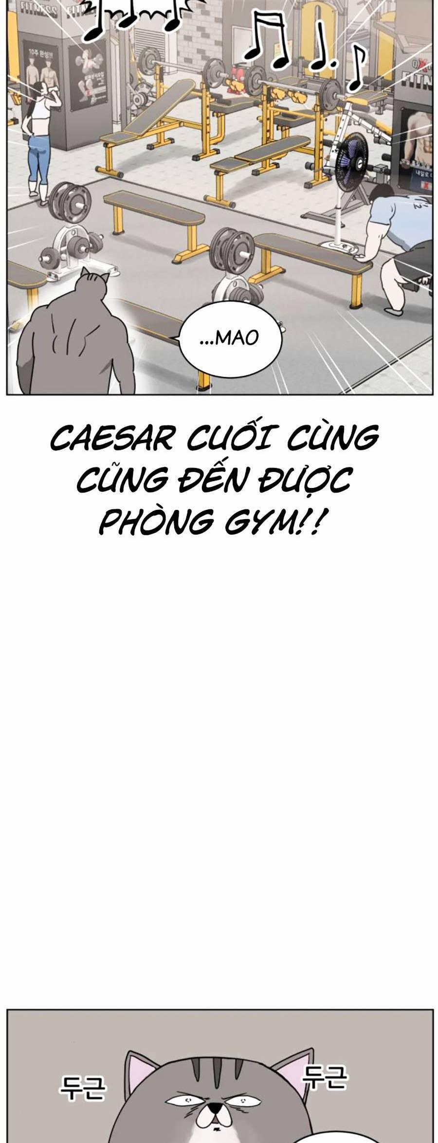 Con Mèo Đô Vật Của Tôi 7 trang 38