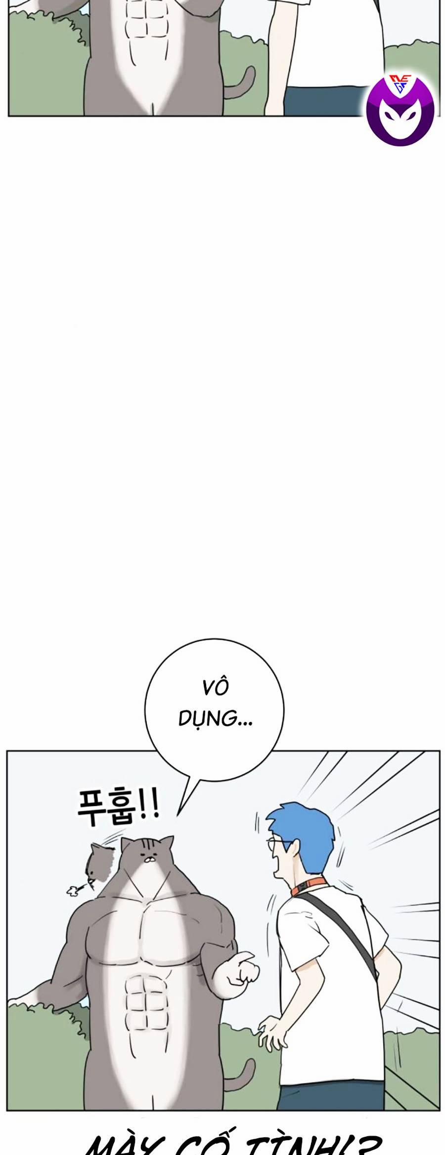 Con Mèo Đô Vật Của Tôi 9 trang 12