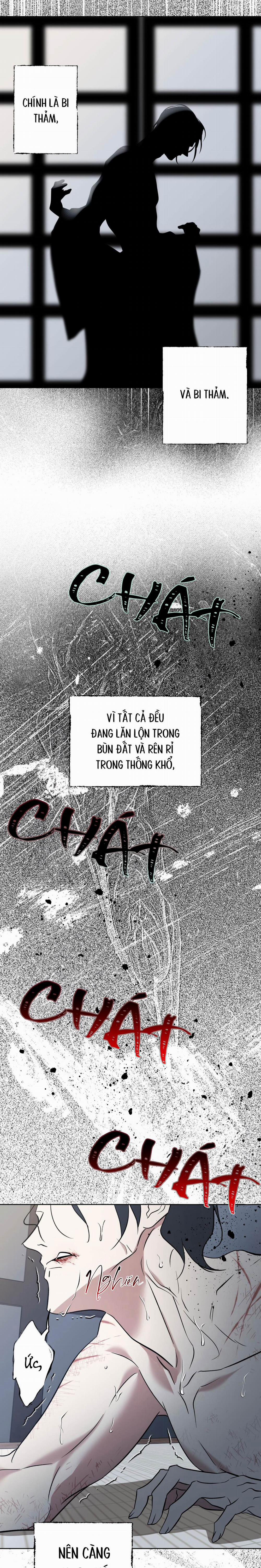 Cơn Mưa Triền Miên 5 trang 8
