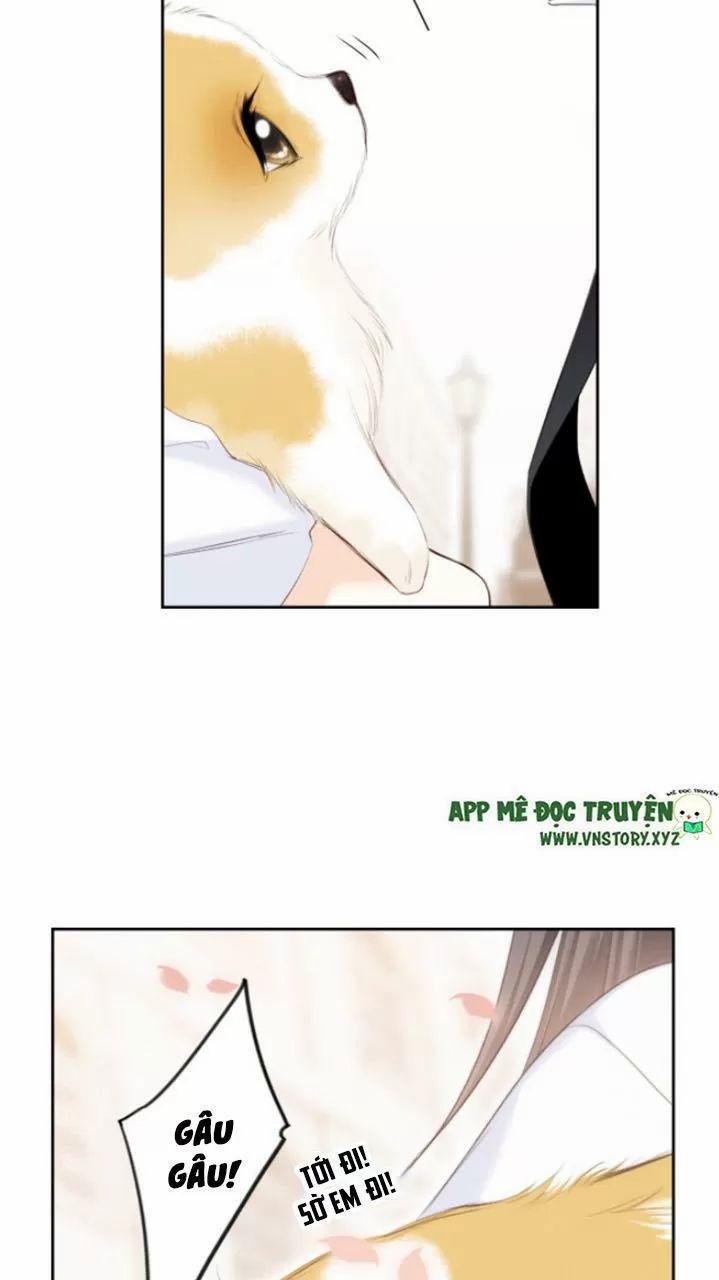 Con Tim Rung Động 2 126.5 trang 11