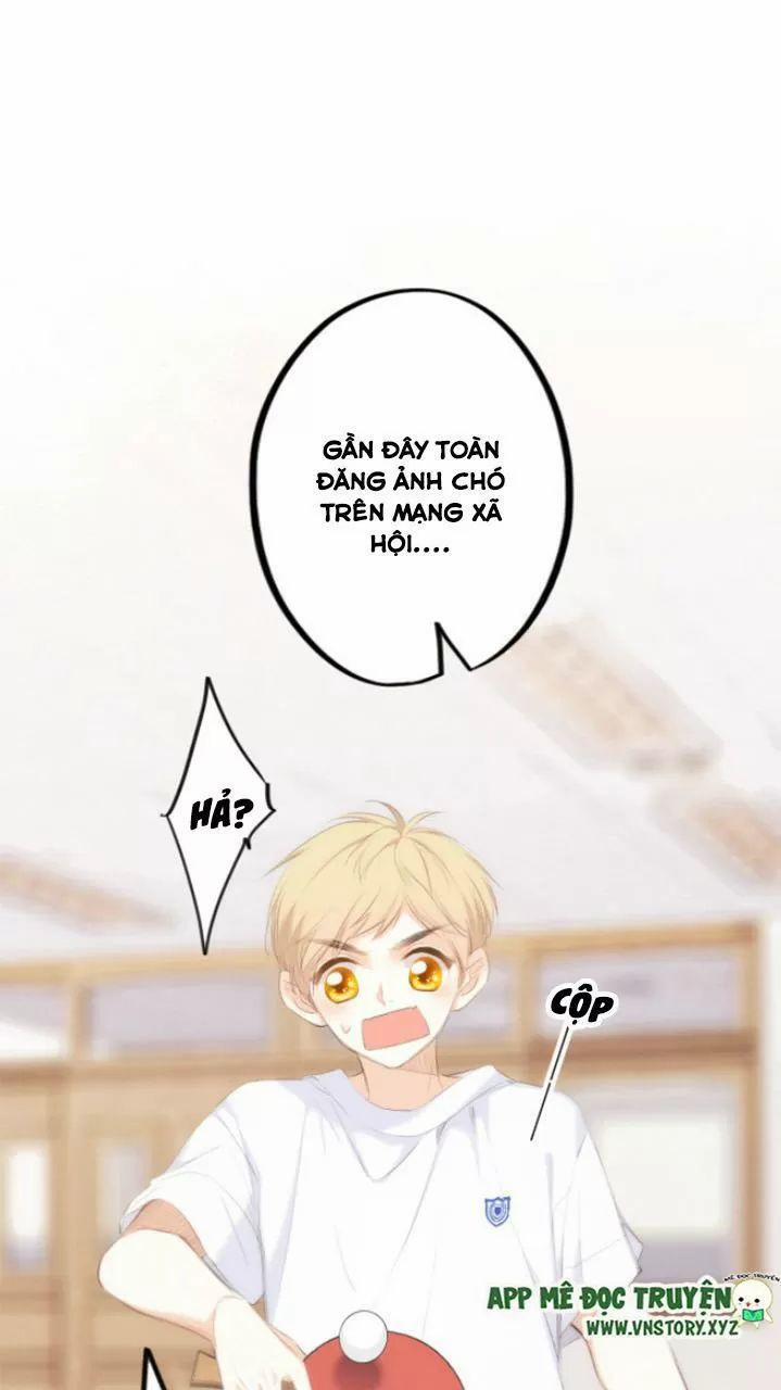 Con Tim Rung Động 2 126.5 trang 18