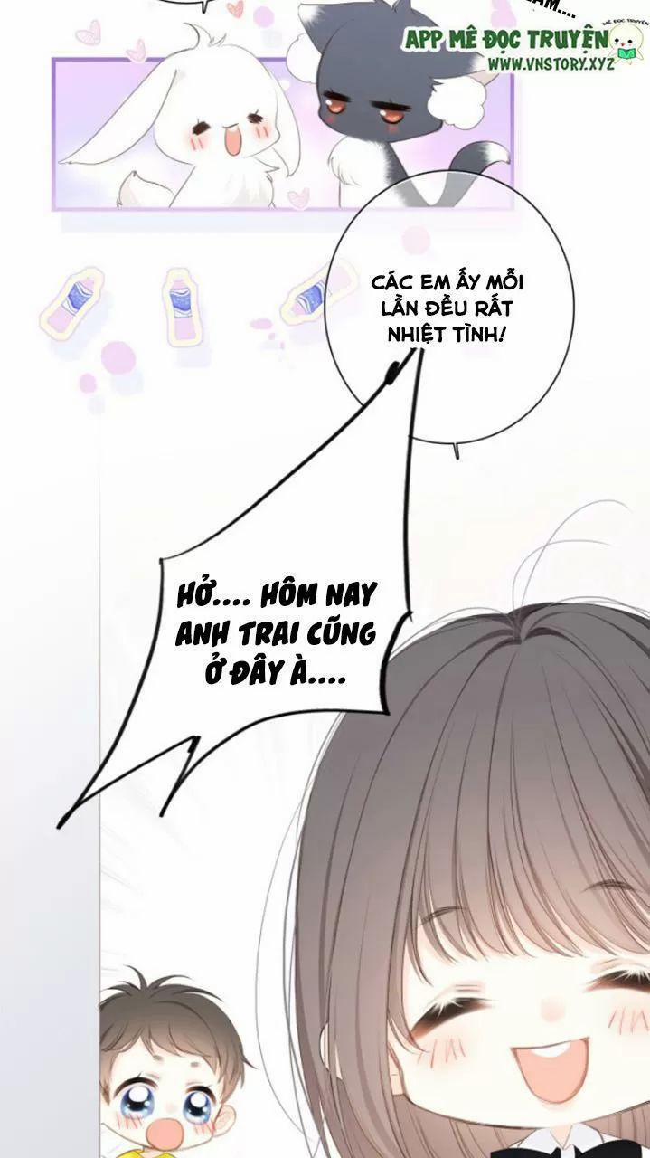 Con Tim Rung Động 2 126.5 trang 4