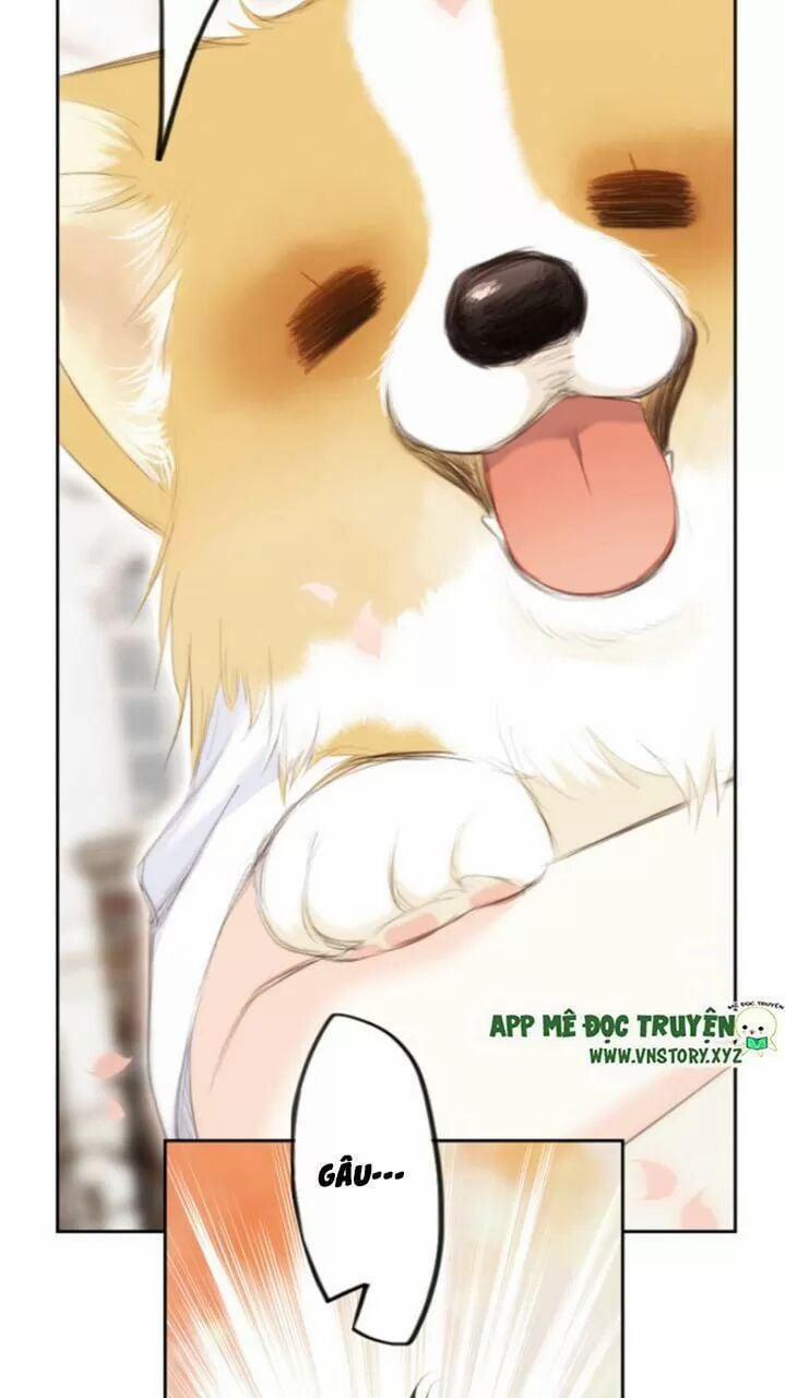 Con Tim Rung Động 2 127 trang 12