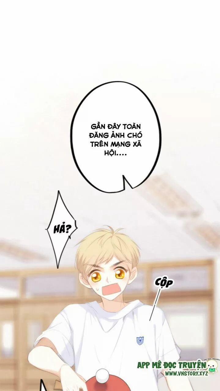 Con Tim Rung Động 2 127 trang 18