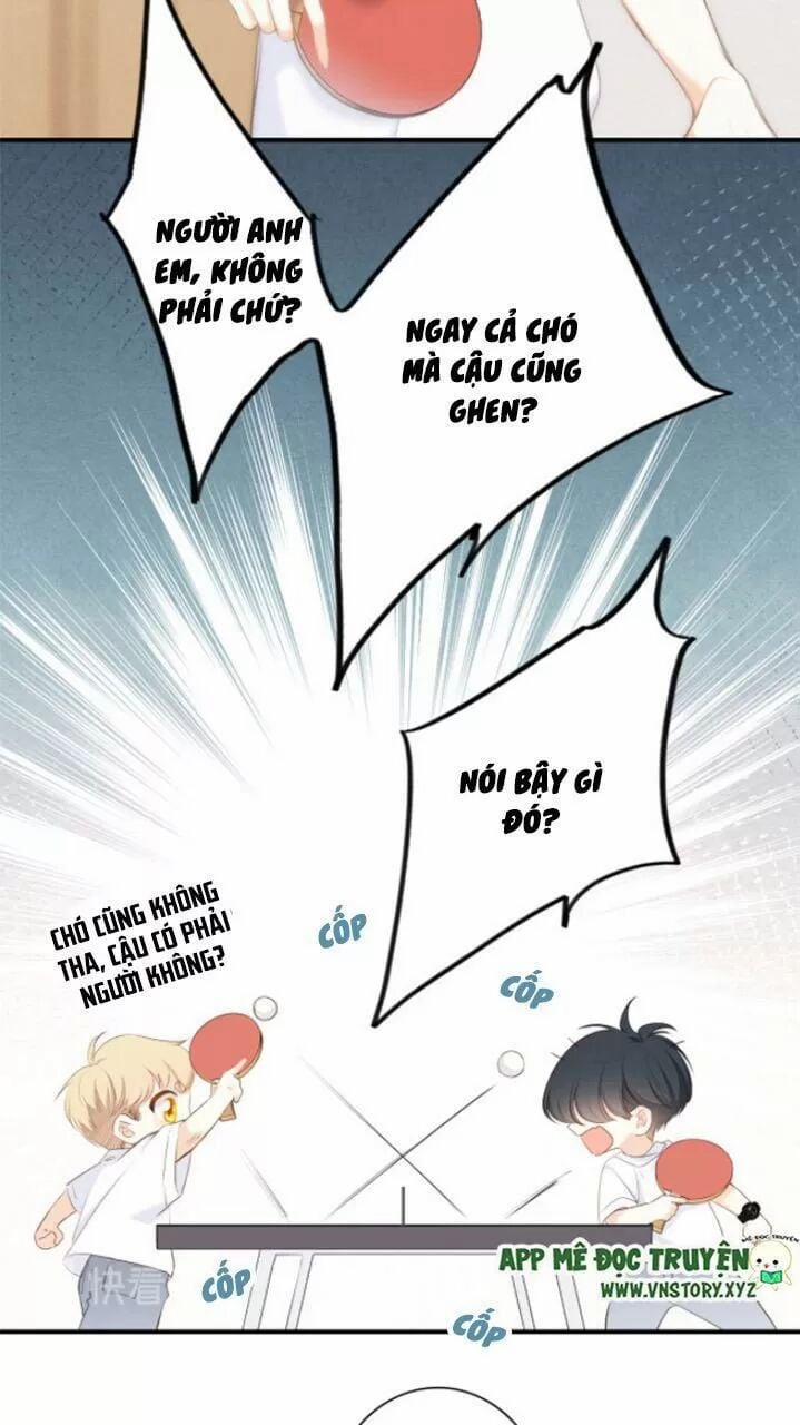 Con Tim Rung Động 2 127 trang 19