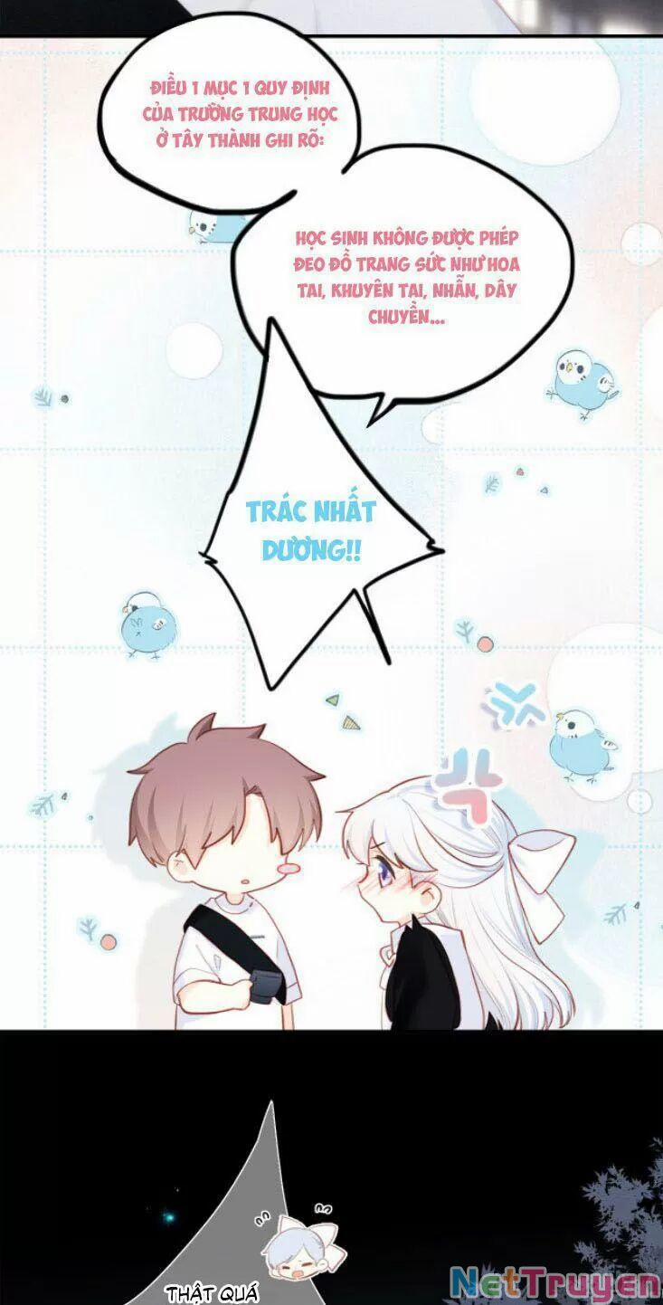 Con Tim Rung Động 2 135 trang 18