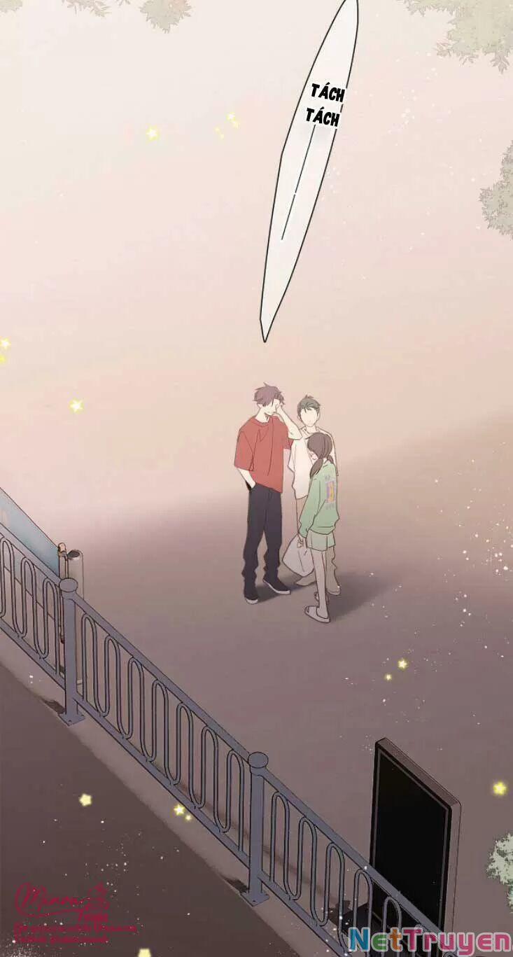 Con Tim Rung Động 2 137 trang 16