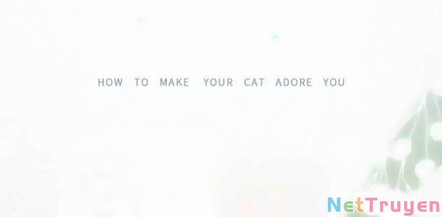 Con Tim Rung Động 2 137 trang 65