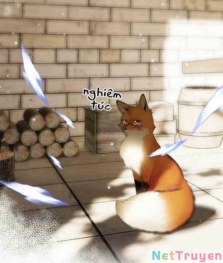 Con Tim Rung Động 2 138.5 trang 26