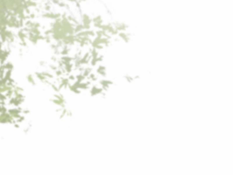 Công Tử Biệt Tú! 43 trang 81