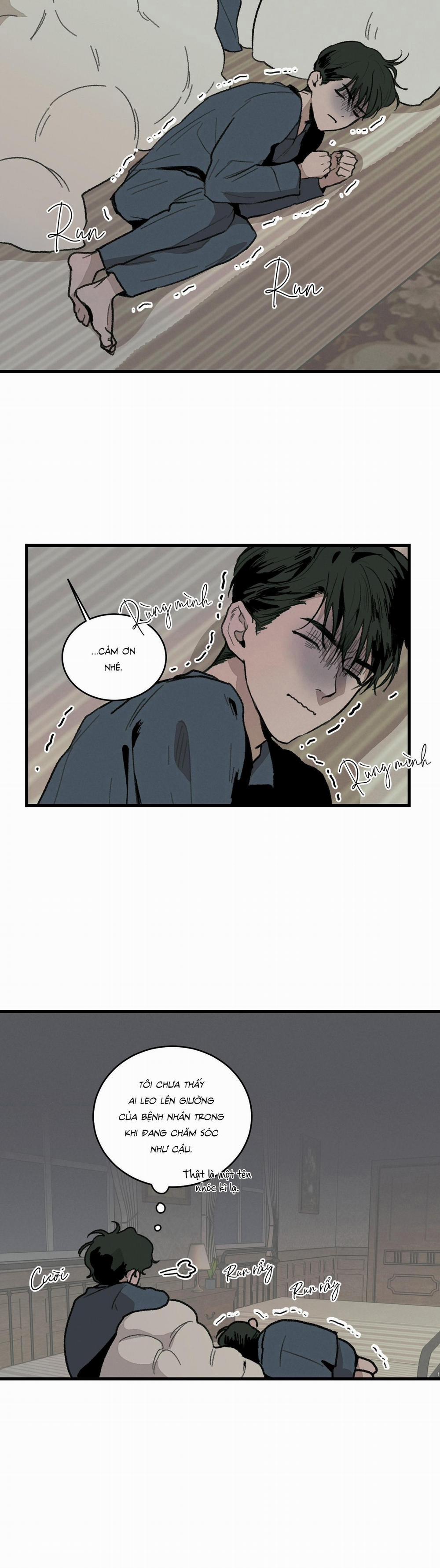 Cottage Garden 4 trang 15