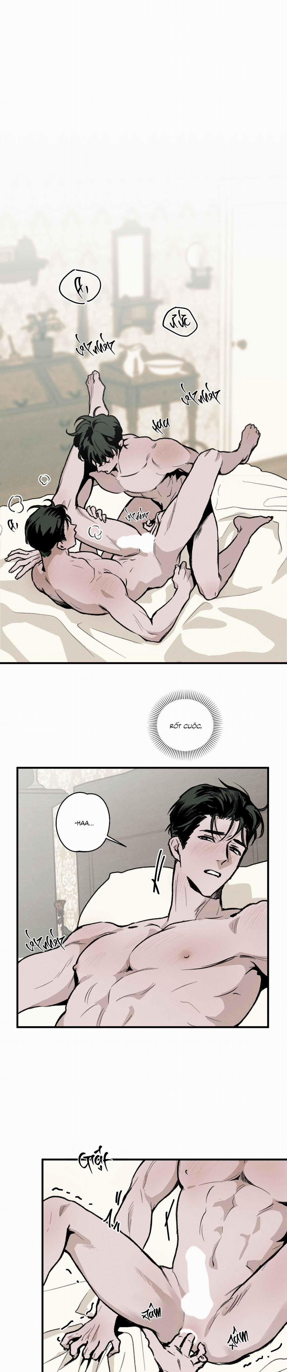 Cottage Garden 6 0 trang 22