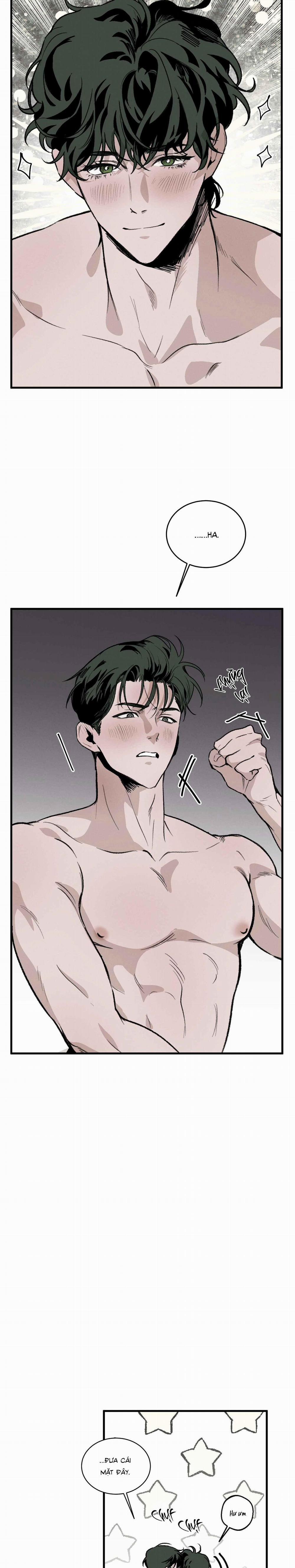 Cottage Garden 6 trang 31