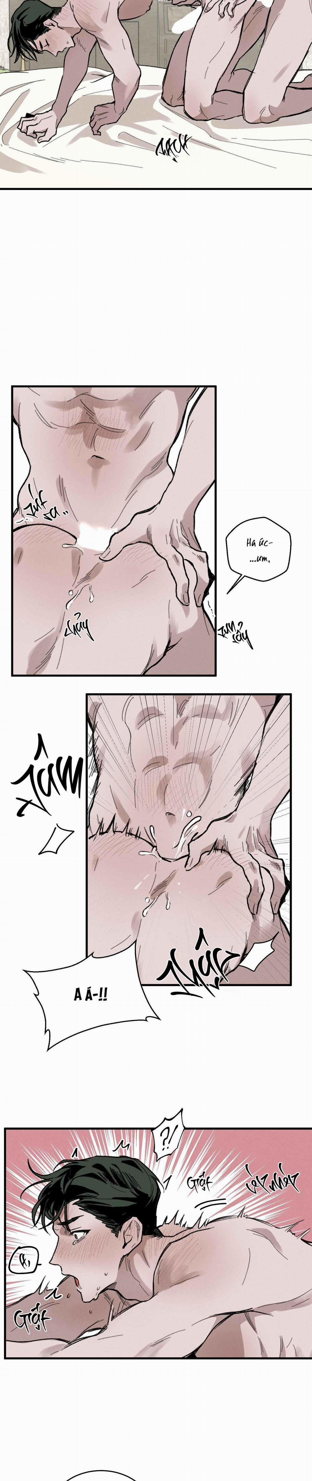 Cottage Garden 7 trang 1