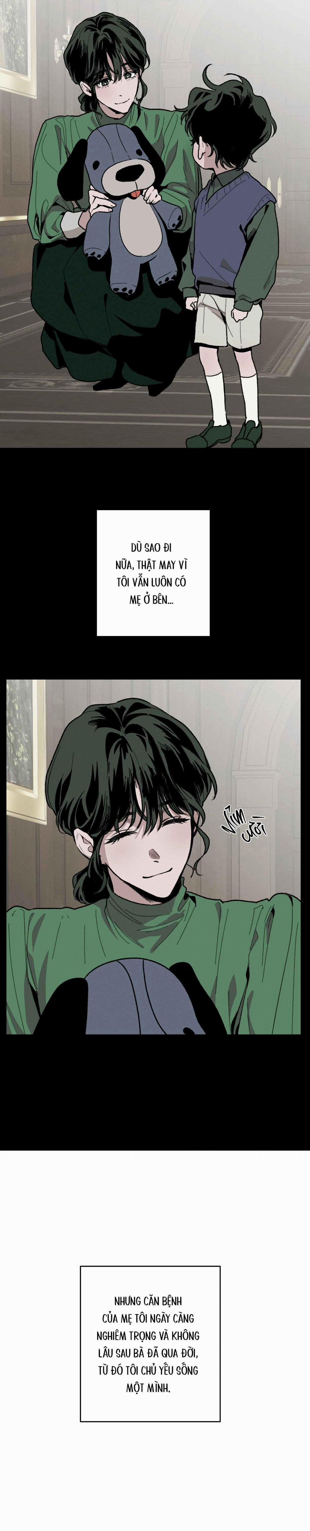 Cottage Garden 7 trang 13